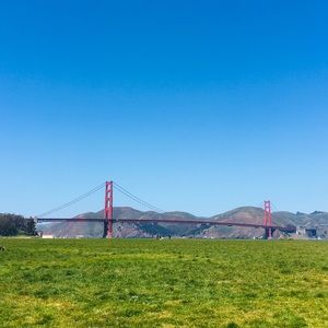 Meet your Posher, Addie